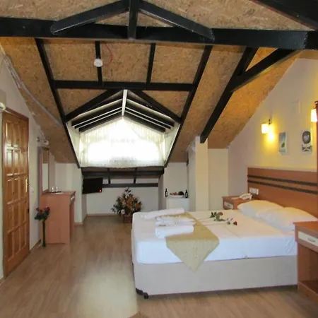 Palmiye 3* דליאן