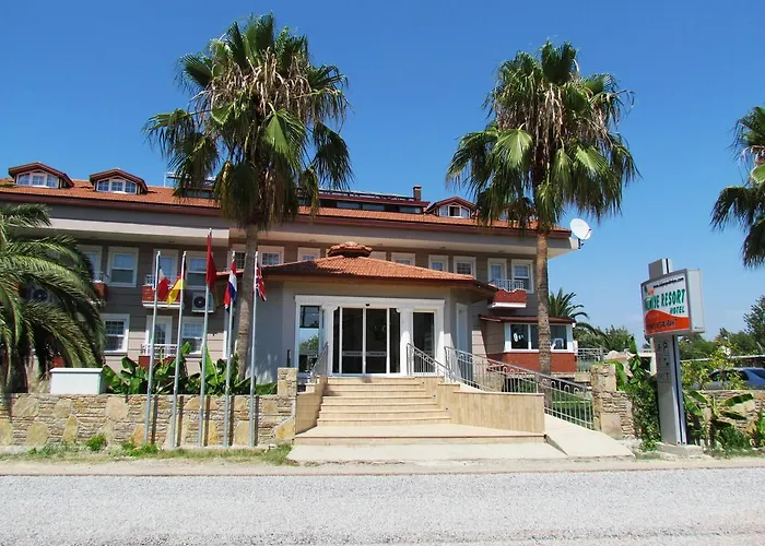 Palmiye