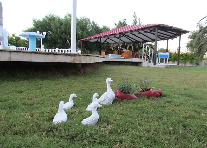 Hotel Palmiye
