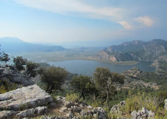 Palmiye 3*