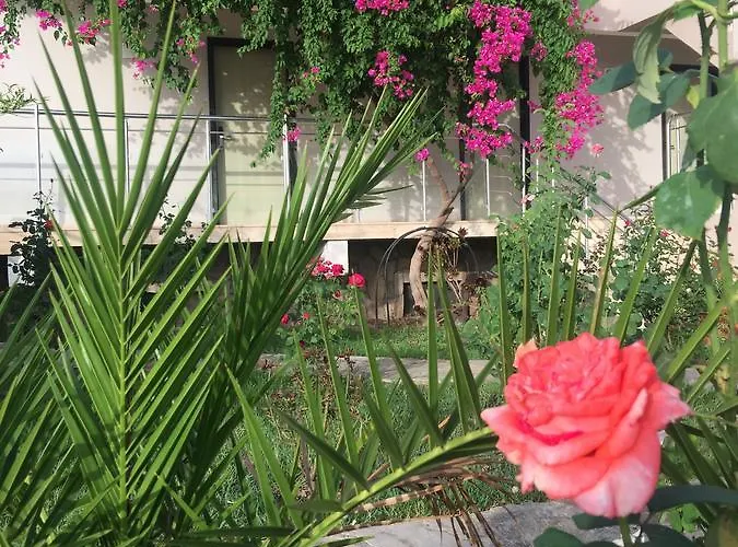 Hotel Palmiye