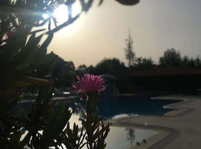 Palmiye 3* Dalyan