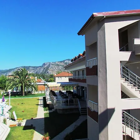 Palmiye داليان