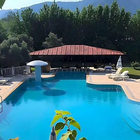 Palmiye 호텔 3*