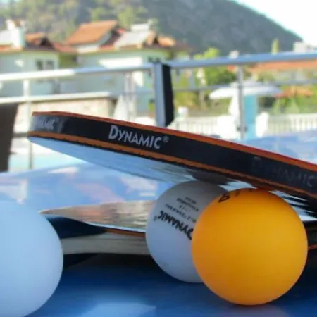 Palmiye Hotel 3*