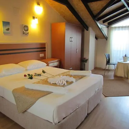 Palmiye فندق داليان