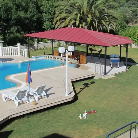 Palmiye فندق داليان