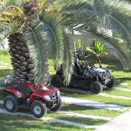 Palmiye 3* داليان