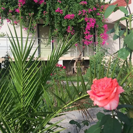 Hotel Palmiye