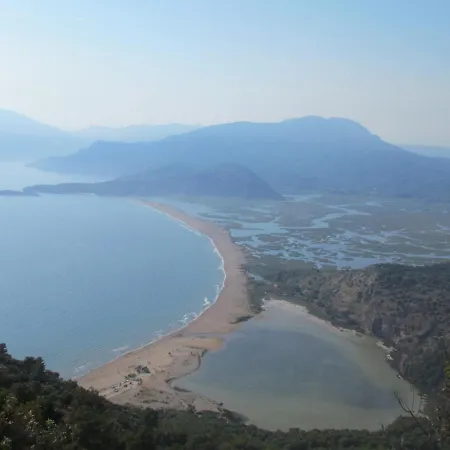 호텔 Palmiye